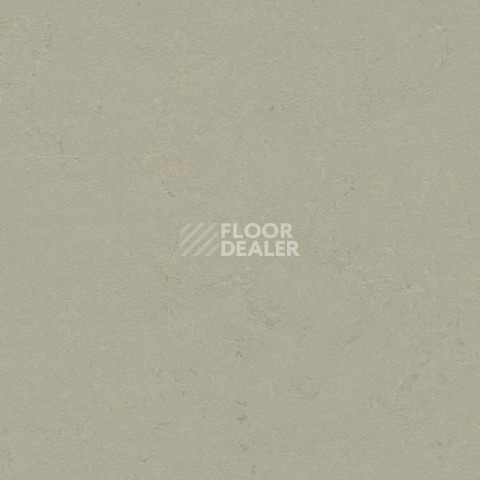 Линолеум Forbo Marmoleum Decibel on Order 372435 orbit фото 1 | FLOORDEALER